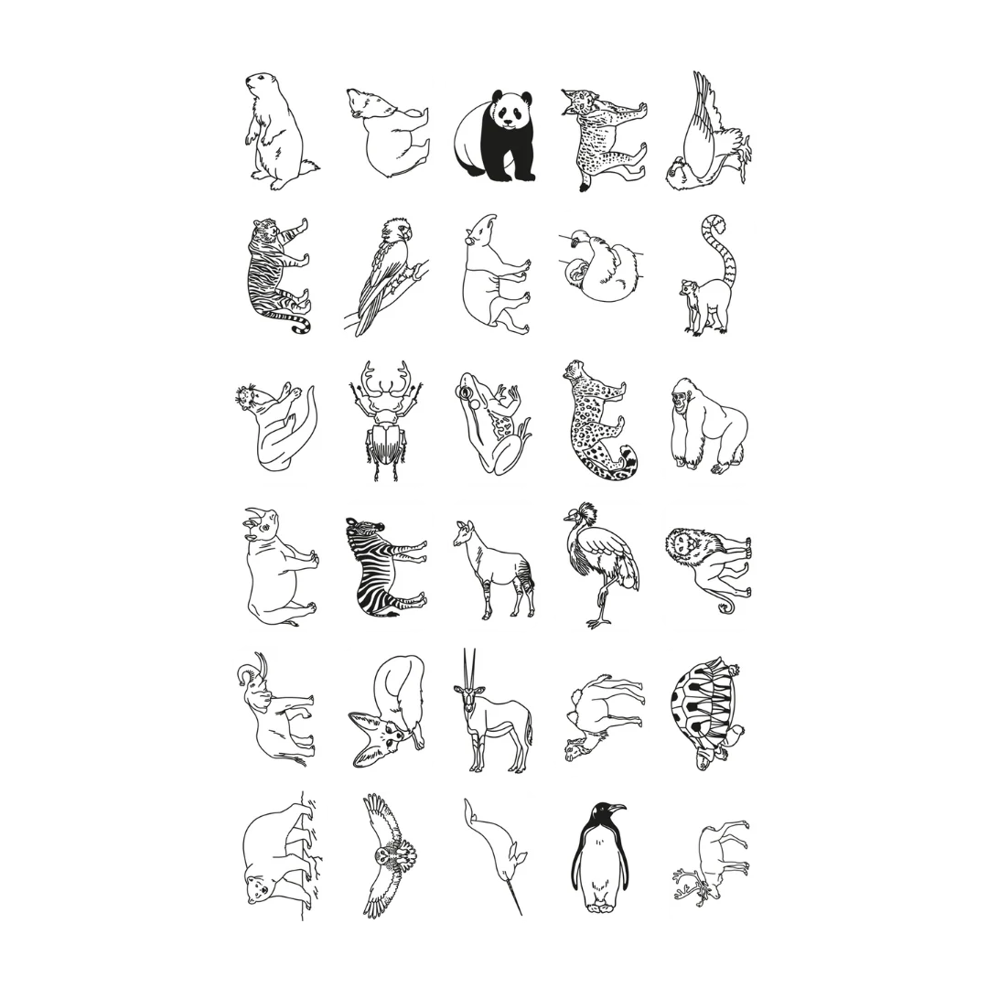 Image du produit 9